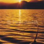 fishing nootka sound in the evening