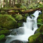 silky smooth water falls using a neutral density filter